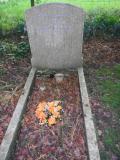 image of grave number 222404